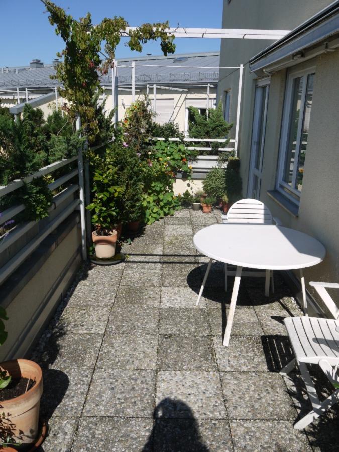 Terrasse bepflanzt