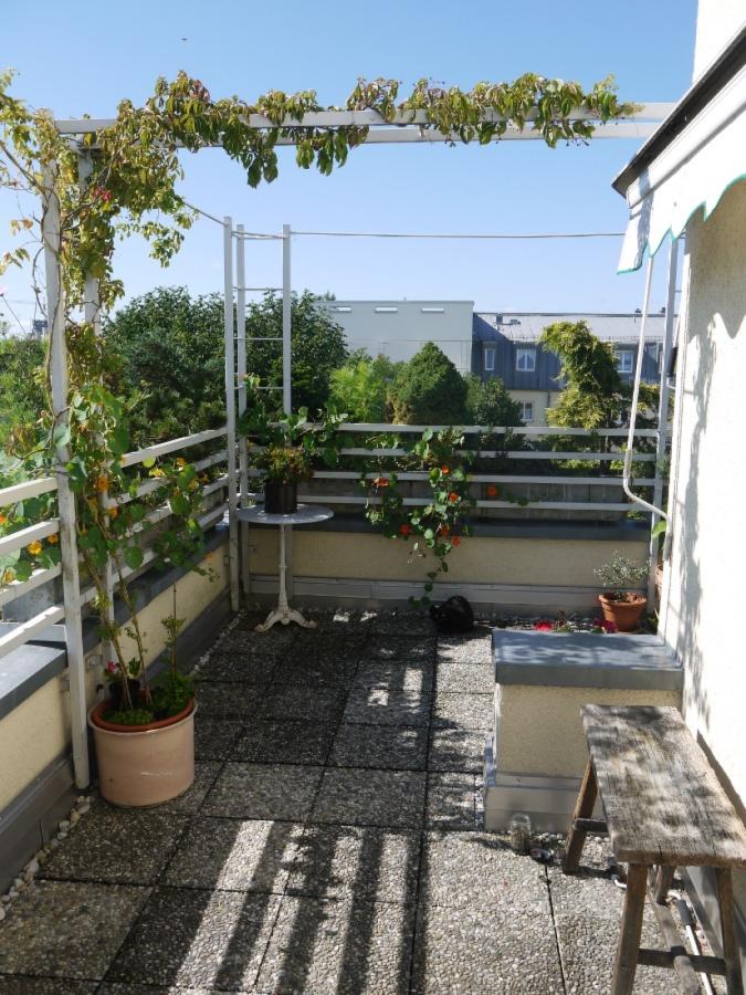 Terrasse bepflanzt