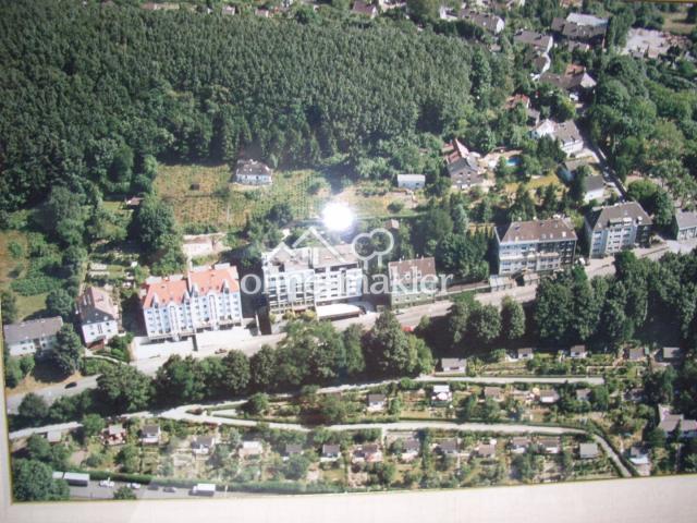 Luftaufnahme Weinberg
