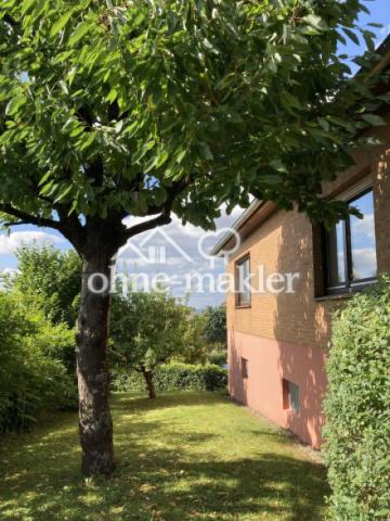 Westseite mit Kirschbaum