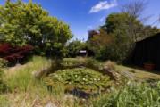 Gartenteich