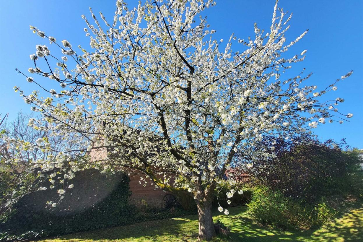 Frühlingsimpressionen