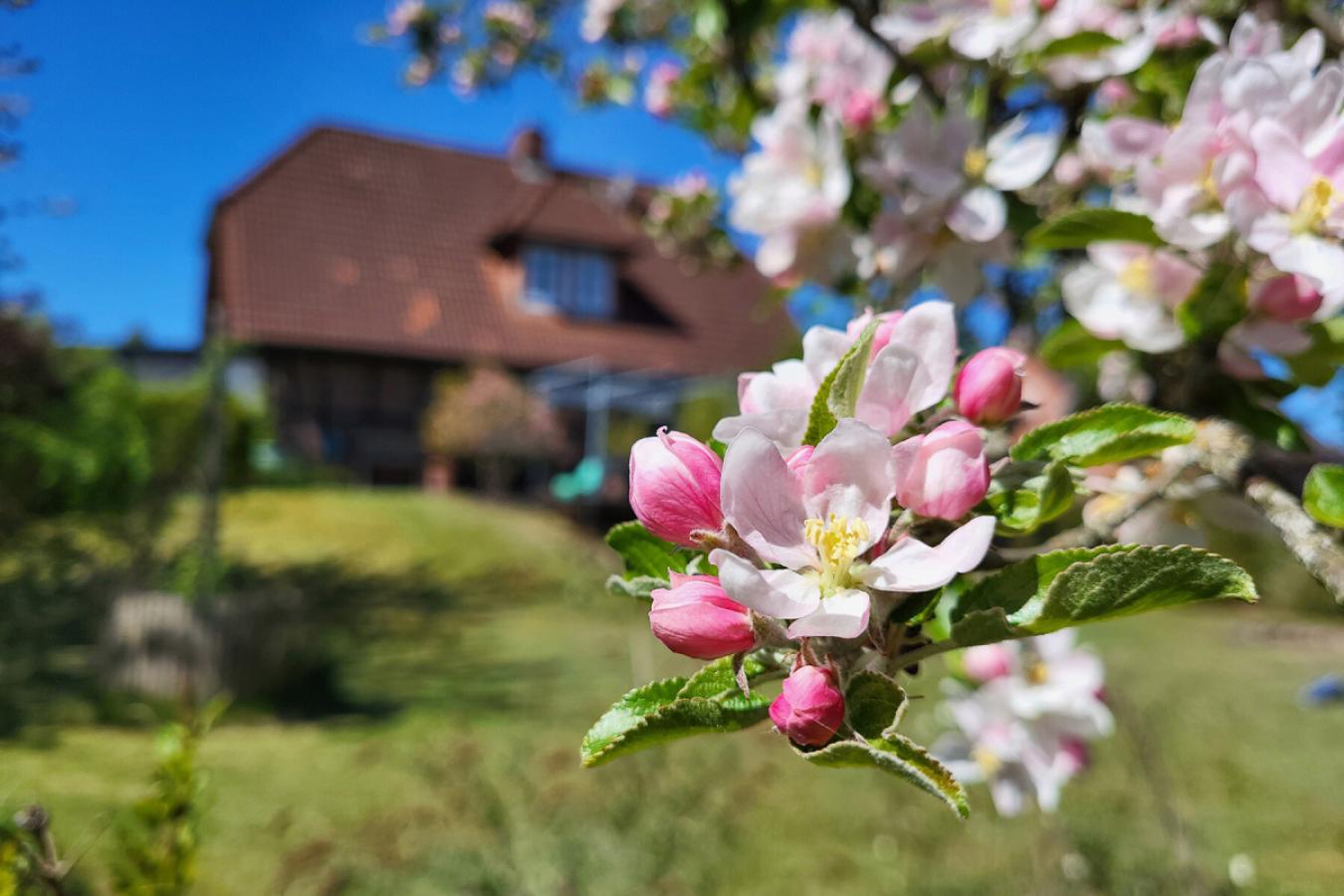 Frühlingsimpressionen
