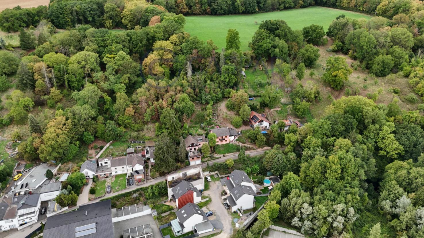 Umgebung