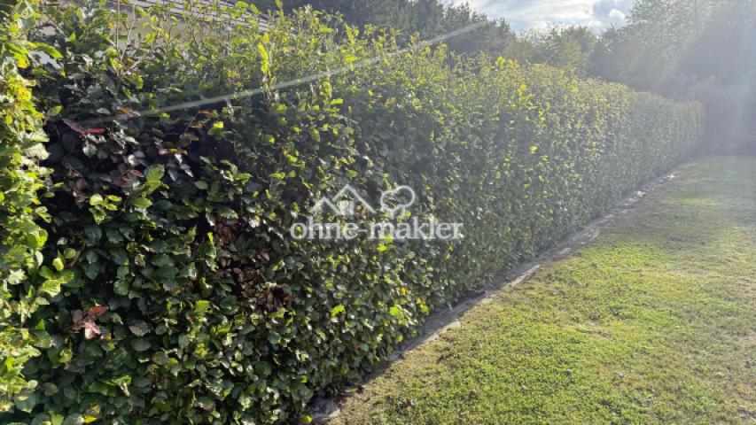 vorhandene umlaufende Hecke