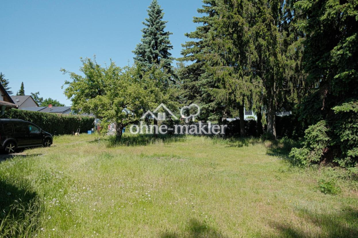 Vorgarten Blick zur Straße