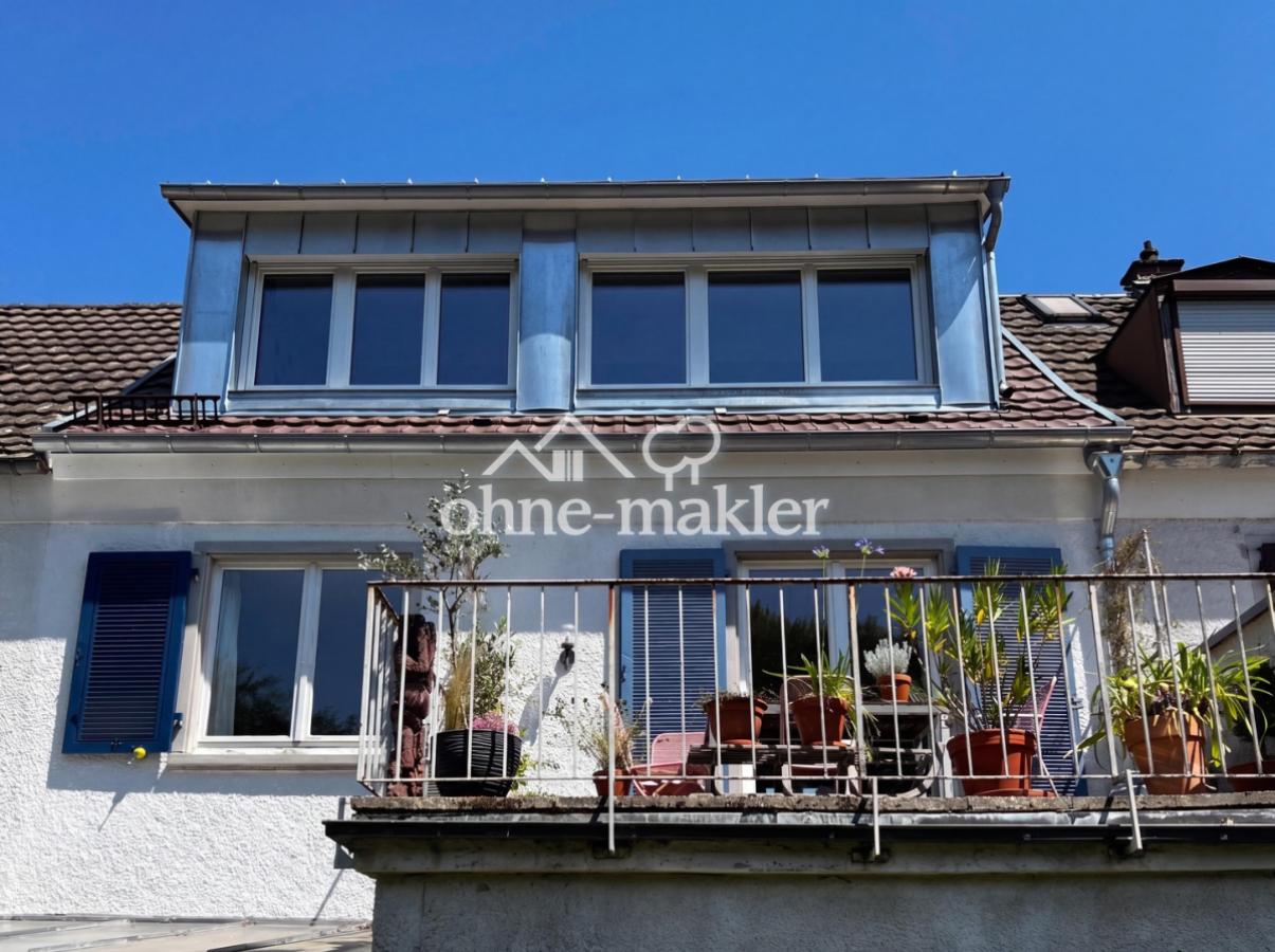 Ansicht Dachterrasse und Gaube