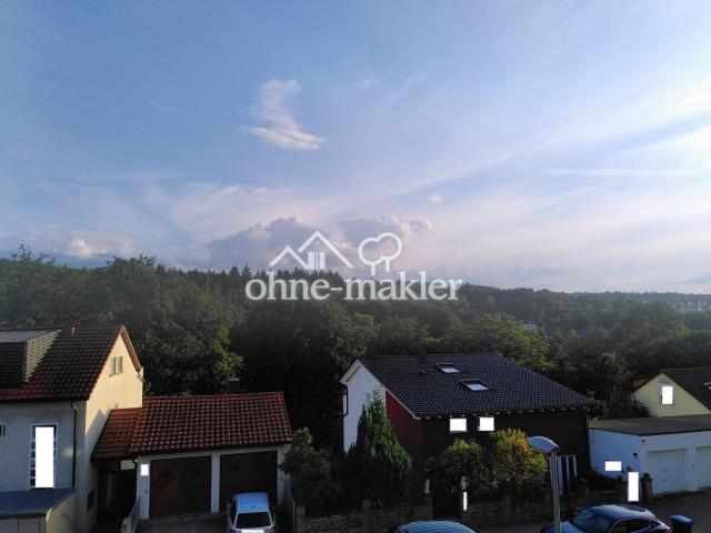 Grünblick in Pforzheimer Wald