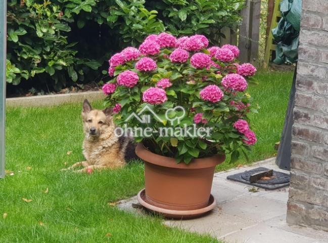 Hund fühlt sich auch wohl!