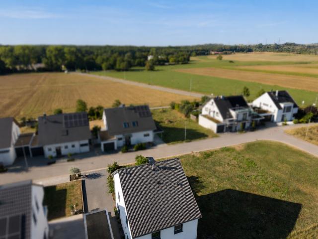 Weitblick am Feldrand