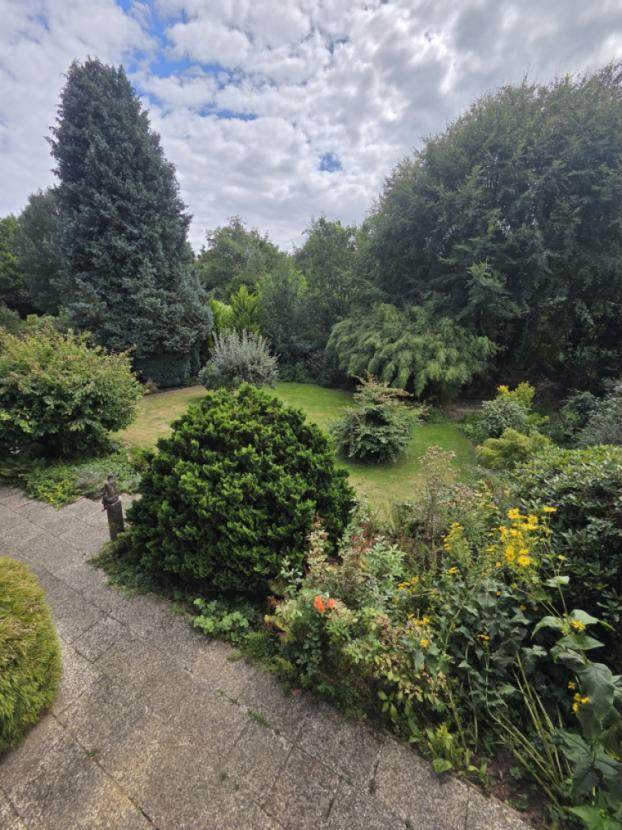 Garten1