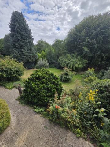 Garten1