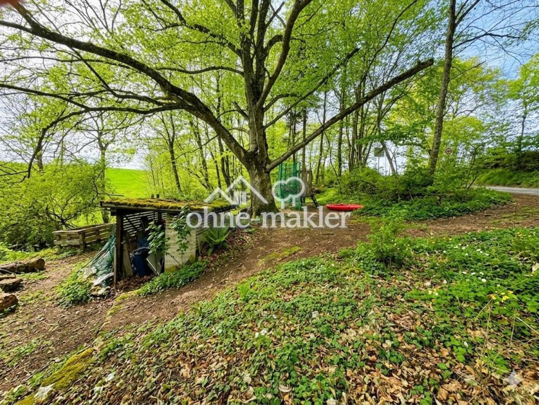 Waldgrundstück