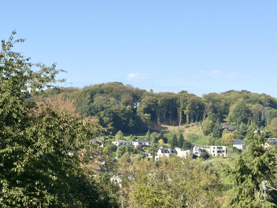 Ausblick vom Balkon