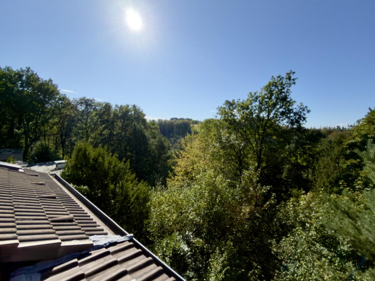 Ausblick