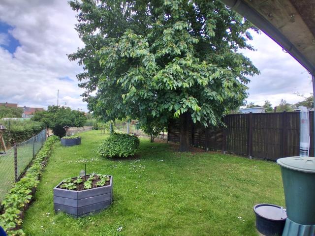 Garten_3