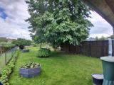 Garten_3
