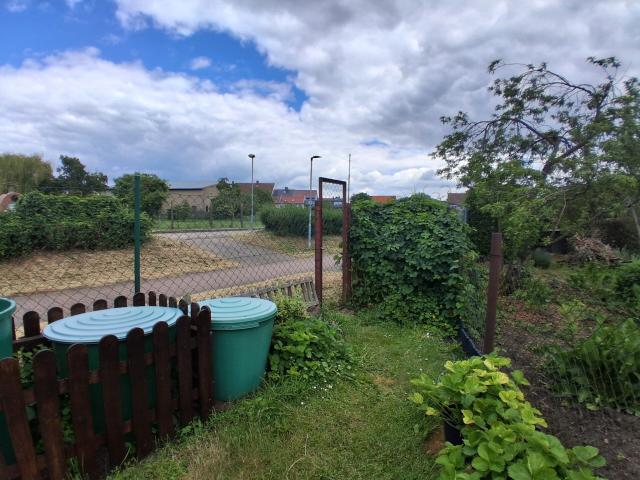 Garten_4