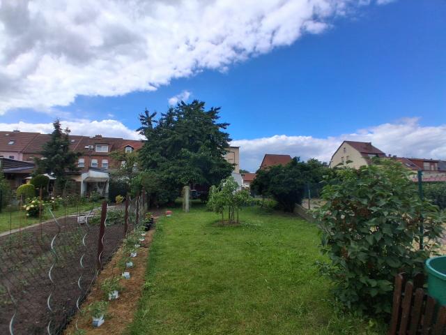 Garten_5