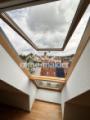 Dachfenster DG