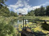 Idyllische Wasserlage mit privatem See KI generiert