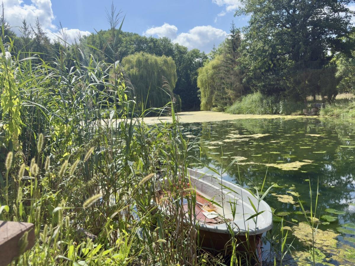 Privater Bootsanleger mit naturbelassenem Schilfbestand