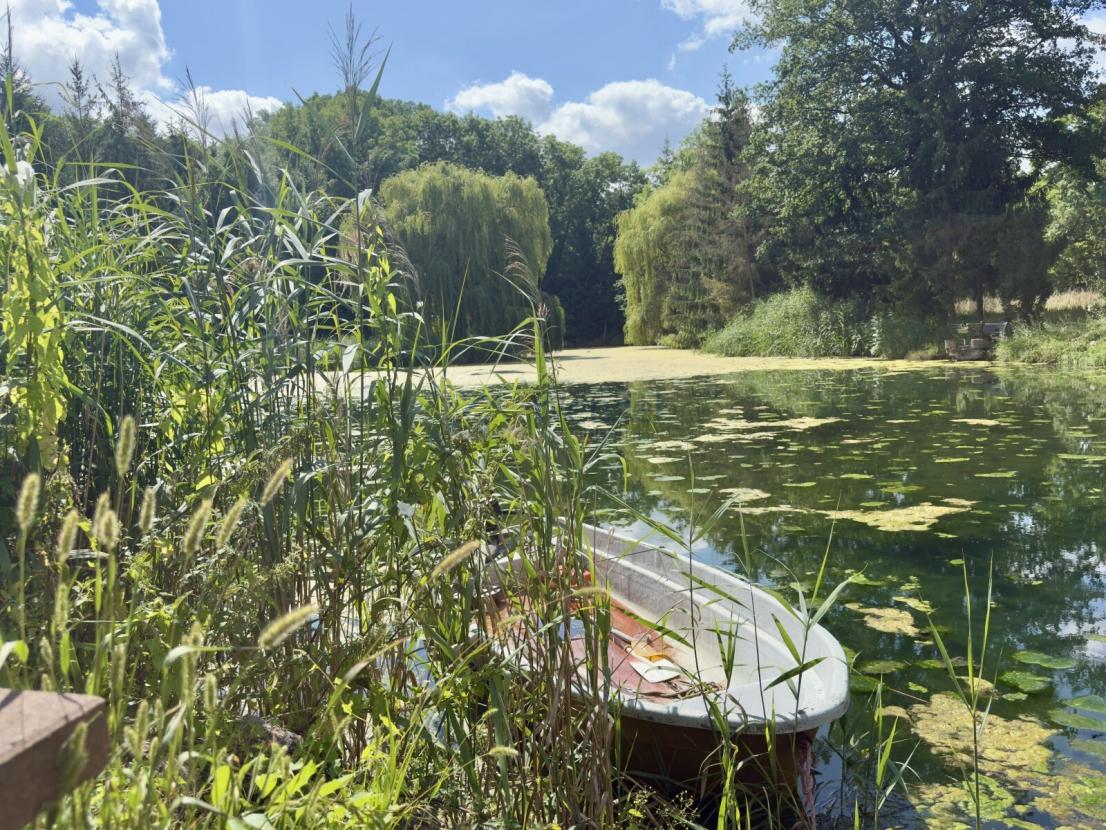 Privater Bootsanleger mit naturbelassenem Schilfbestand