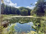 Naturbelassene Wasserfläche