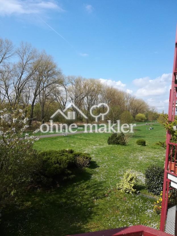 Blick auf den Uferweg
