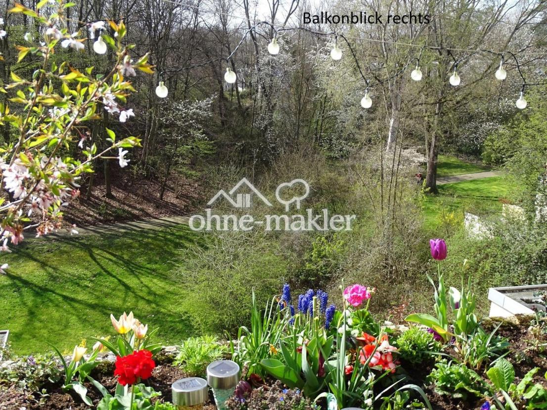 Blick vom Balkon rechts