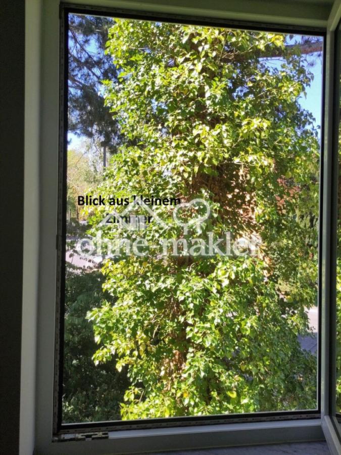Blick aus kleinem Zimmer