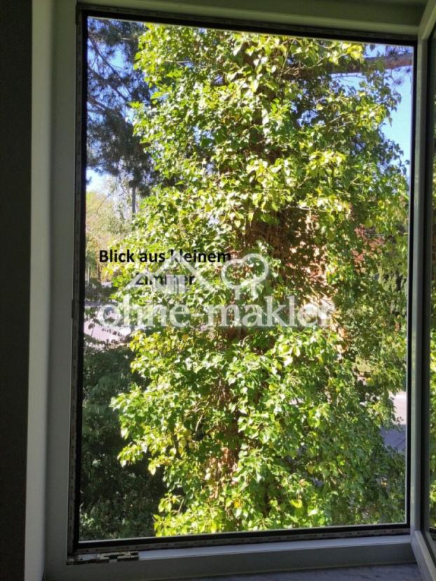 Blick aus kleinem Zimmer