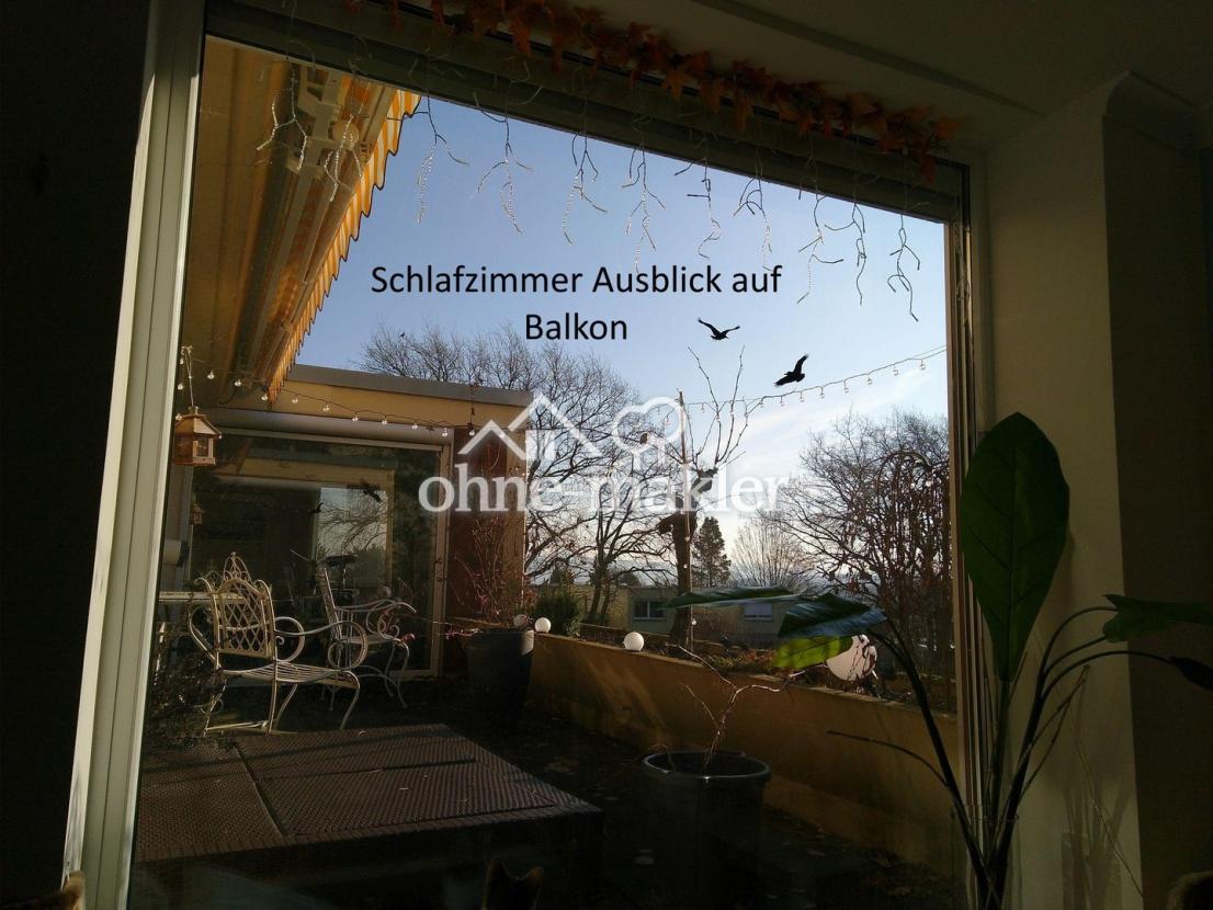 Blick aus dem Bett!