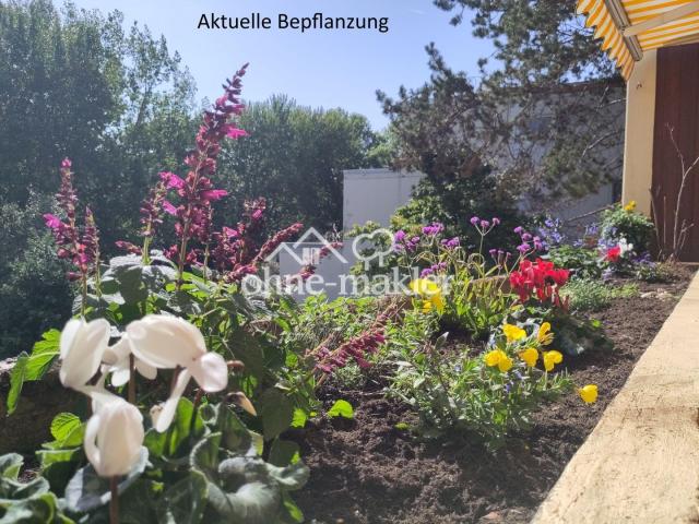 Aktuelle Bepflanzung