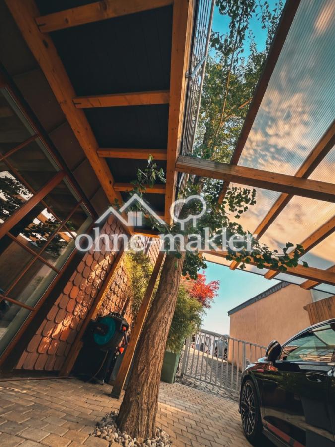 Ginkobaum durch Carport