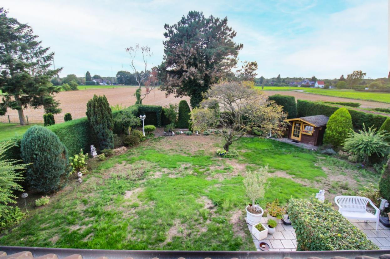 Garten (2)