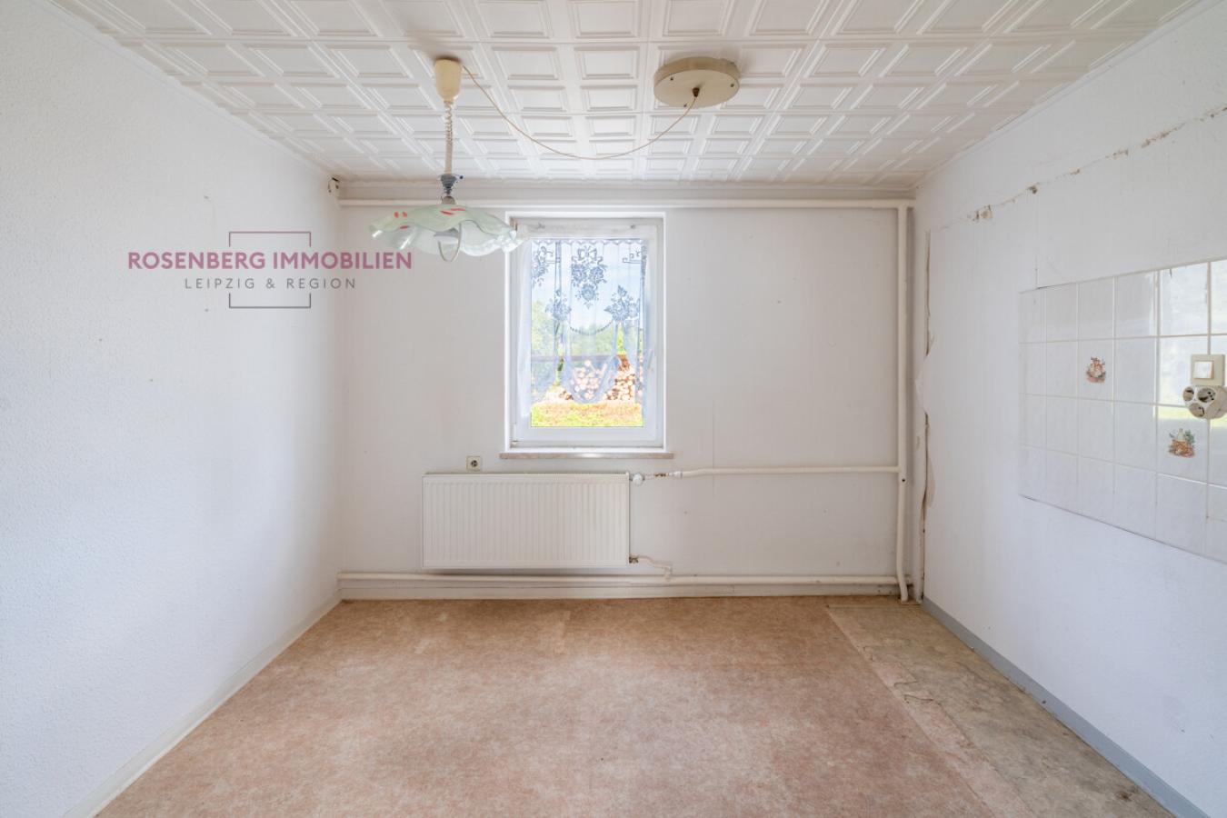 Immobilie in Leisnig zu verkaufen_Küche 1