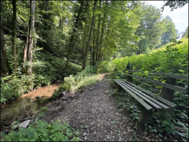 Bank am Bach