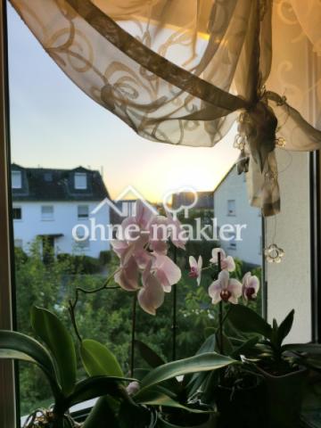 Blick Fenster