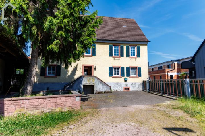 Hofblick