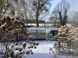 Seeblick im Winter