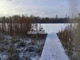 Steg zum See