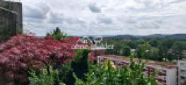 Blick vom Balkon 