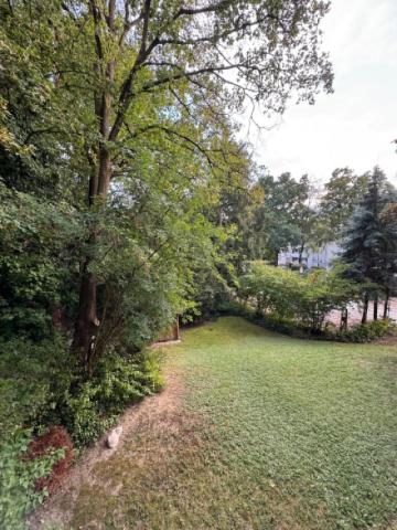Balkon-Aussicht