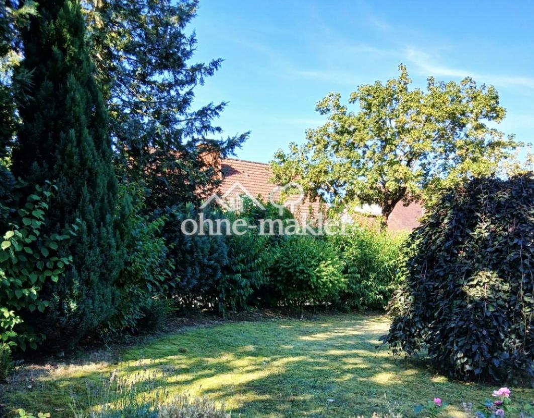 Garten im Sommer