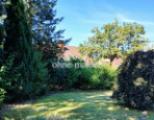 Garten im Sommer