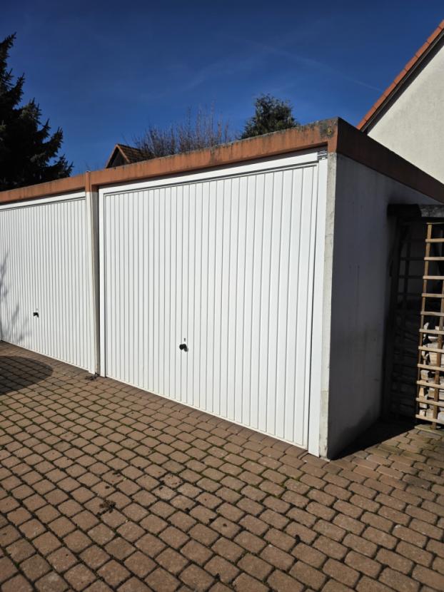 1000125847.jpg