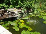 Biotop mit Bachlauf und Brunne