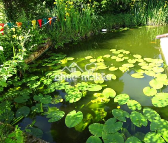 Teich mit Seerosen