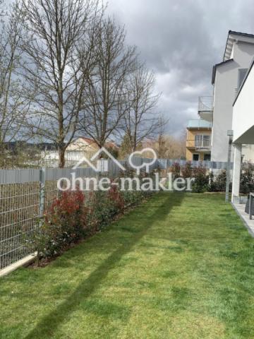 Beginn der Gartenbegrünung